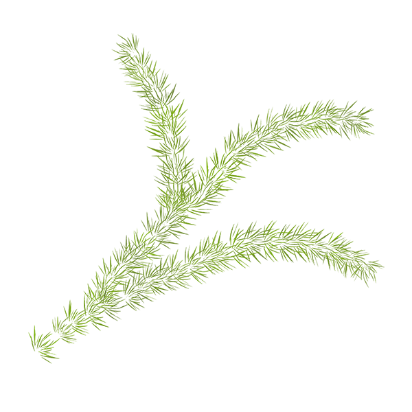 KBK_BunnyTrail (103)