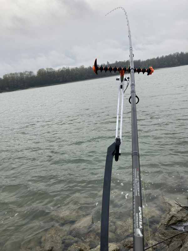 5985EBDD-961A-43C6-84F8-C05EAC82AE37