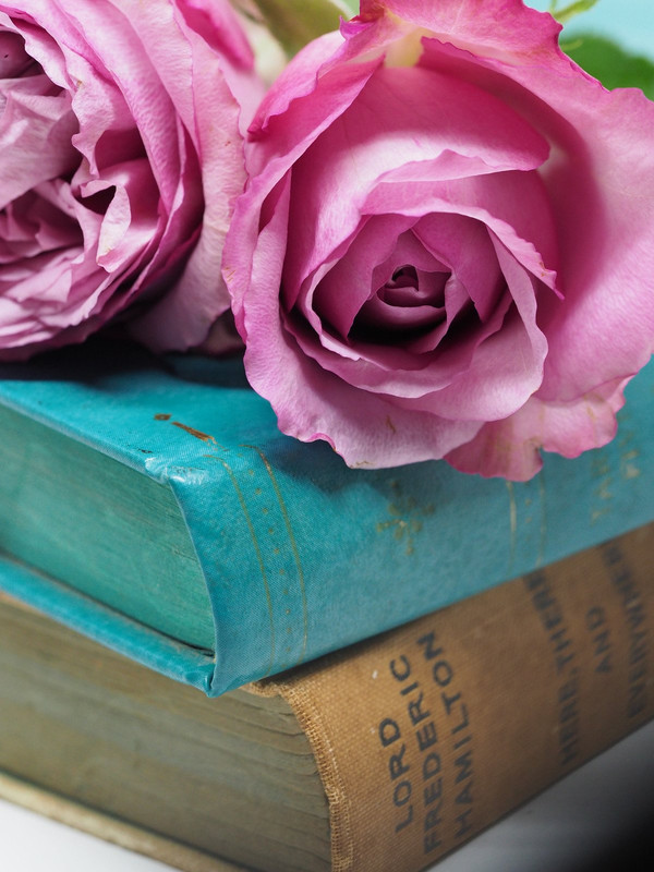 pink-roses-books.jpg
