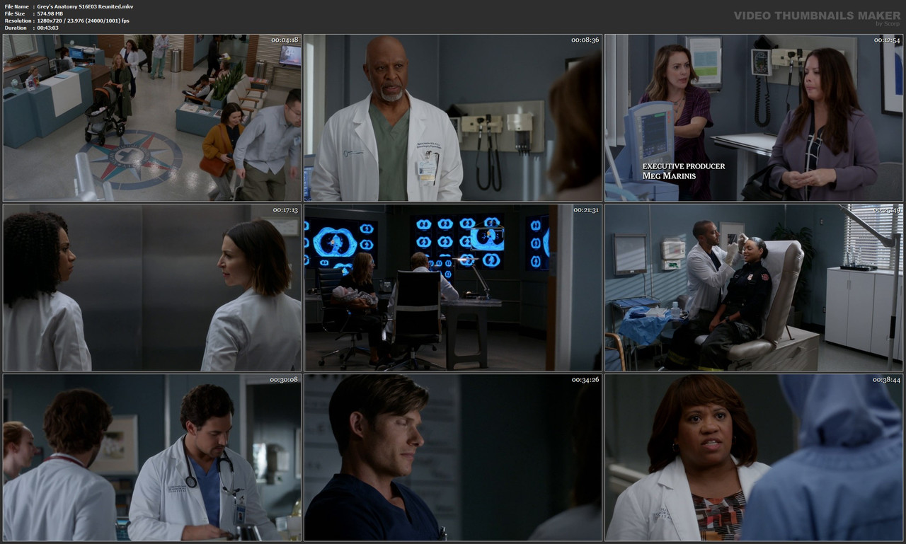 Grey's Anatomy S16E03 Reunited.mkv