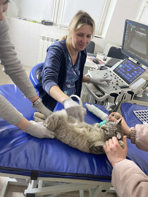 9D2E9CE4-42B5-4BA4-8497-32693761971E