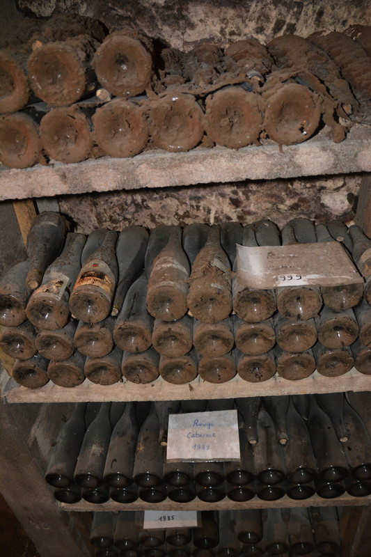 12.10 - DSC_8571 (Ater)