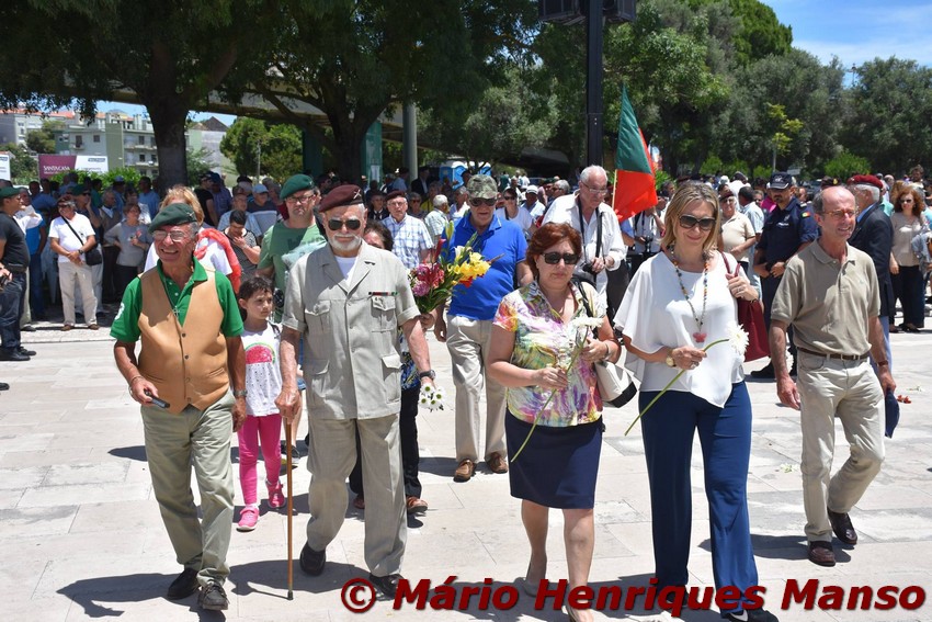 19023406_1489143827805180_1956418218262549550_o