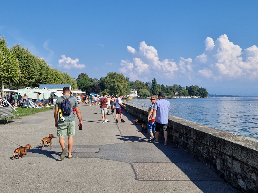 [Image: 20240901-110231.jpg]