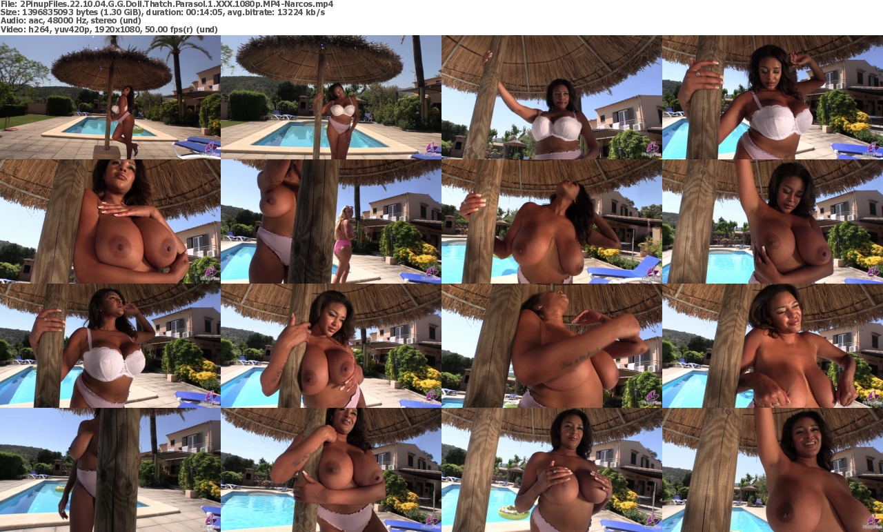 14112022044707screenshot