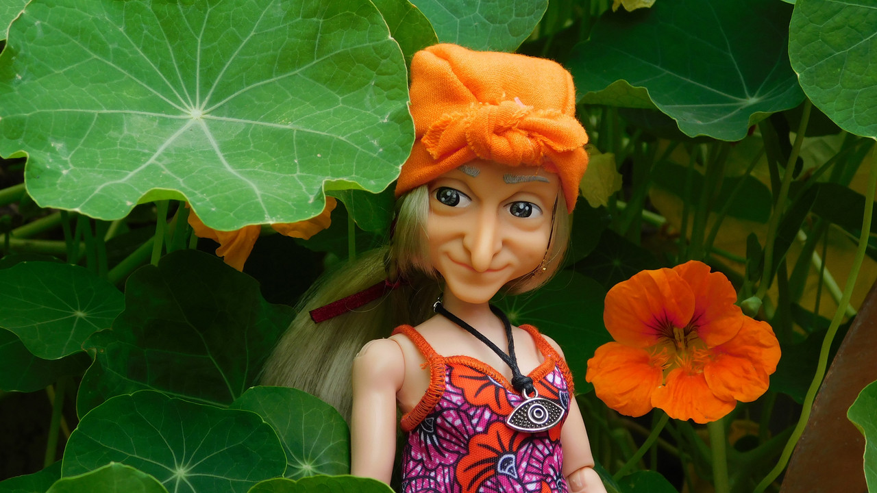 Август дачный кукольный 2023 058