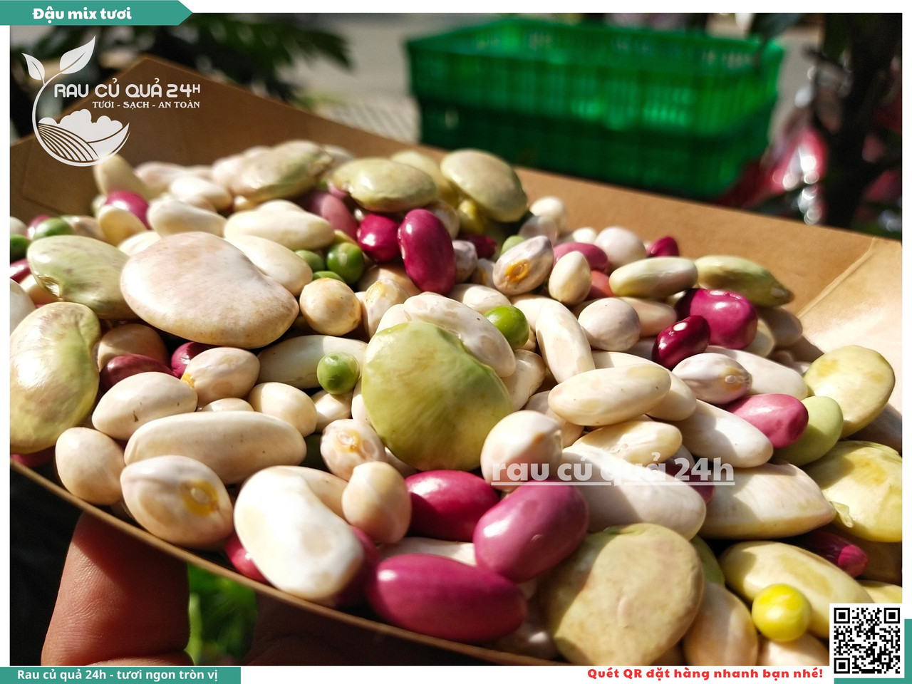 Đậu Mix Tươi 13