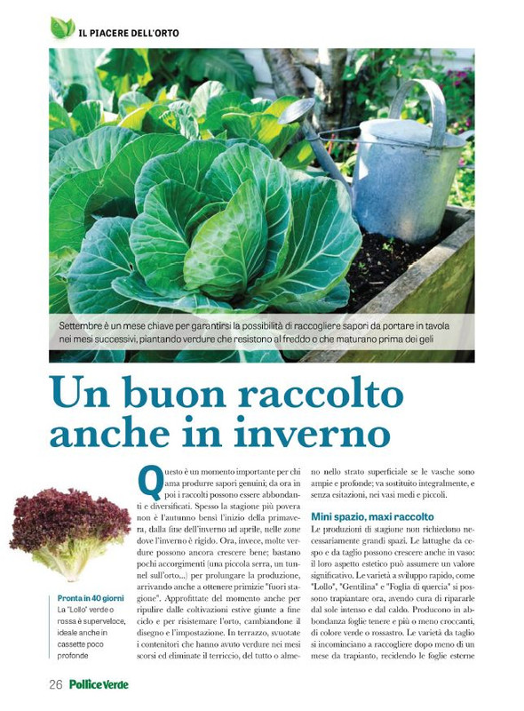 Pol Ver Set 2023 (5)