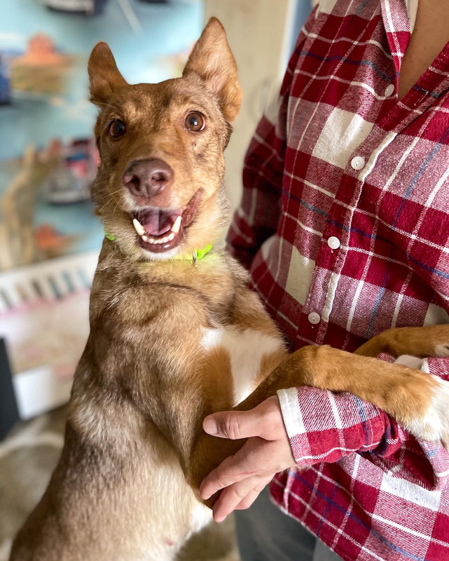 96C5D6ED-BCDE-4B75-914E-A8C2CA6FD16D