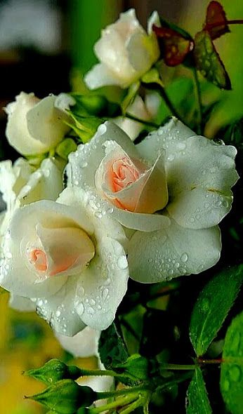 [Image: DON-T-WAIT-LIFE-GOES-FASTER-THAN-YOU-THINK.jpg]