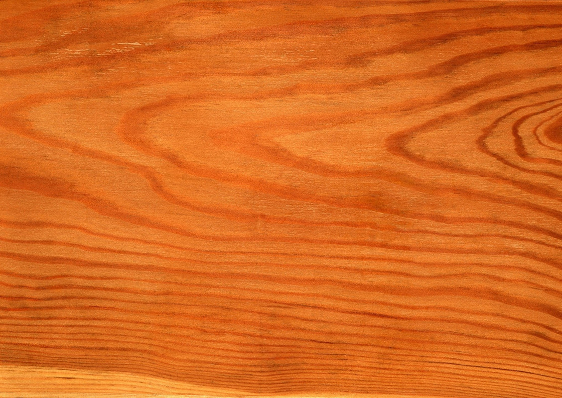 wood-texture-3dsmax (537)