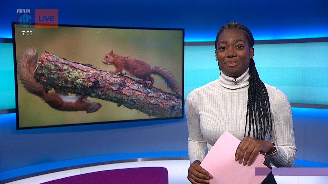 Newsround_20220322_07450755.ts_snapshot_08.40.510