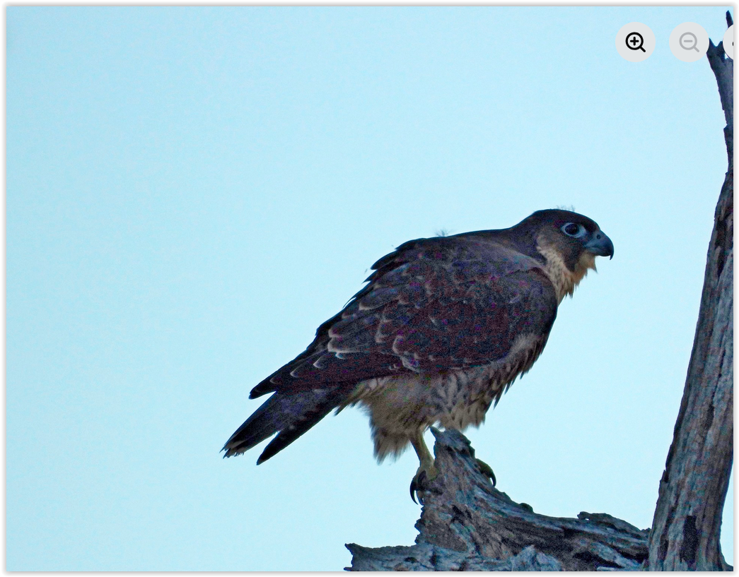 Screen Shot 12 24 25 at 03 06 PM