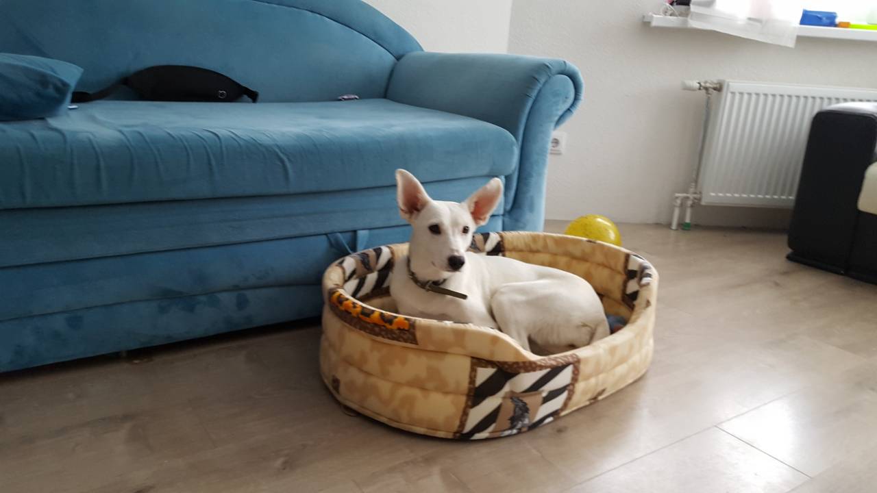 IMG-d7c13880670ad9ce7b09cbf5cc97c22a-V