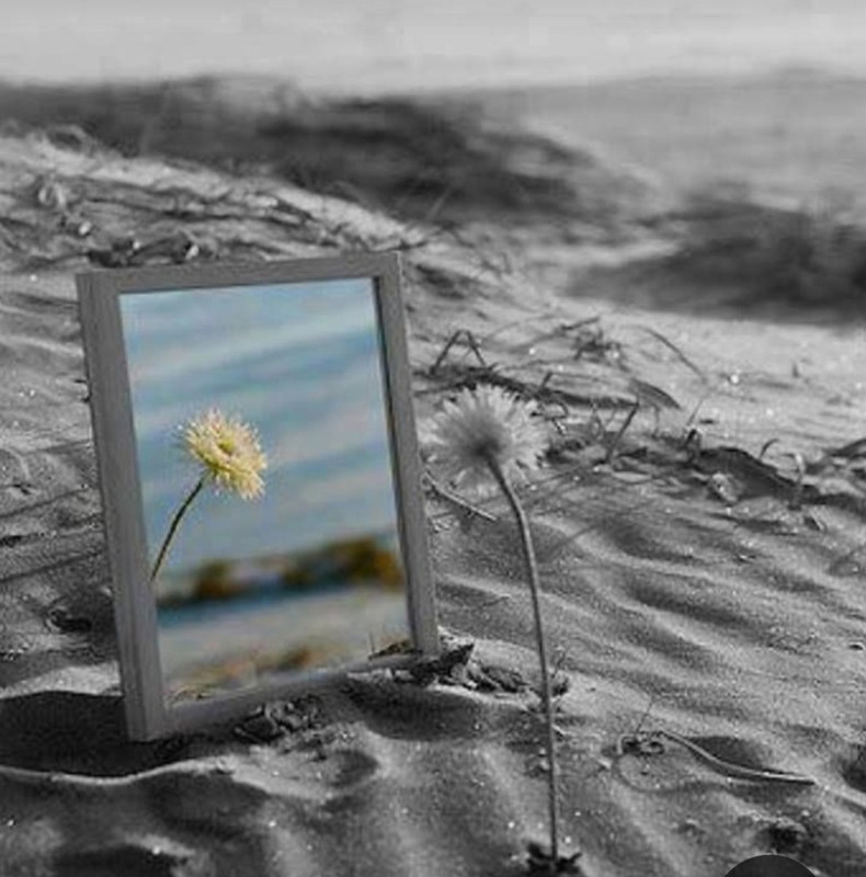 Screenshot_20230318_231747_Pinterest