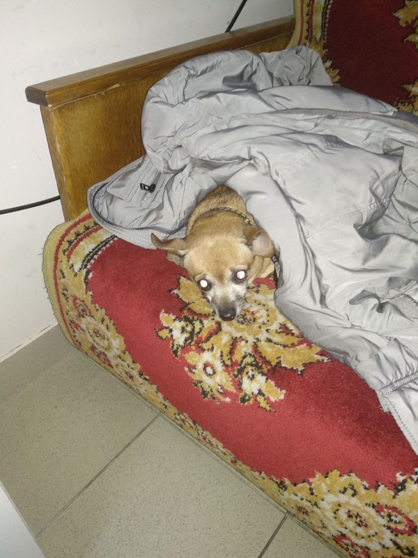 990787DA-B4F4-4D63-8003-323BECD882A3