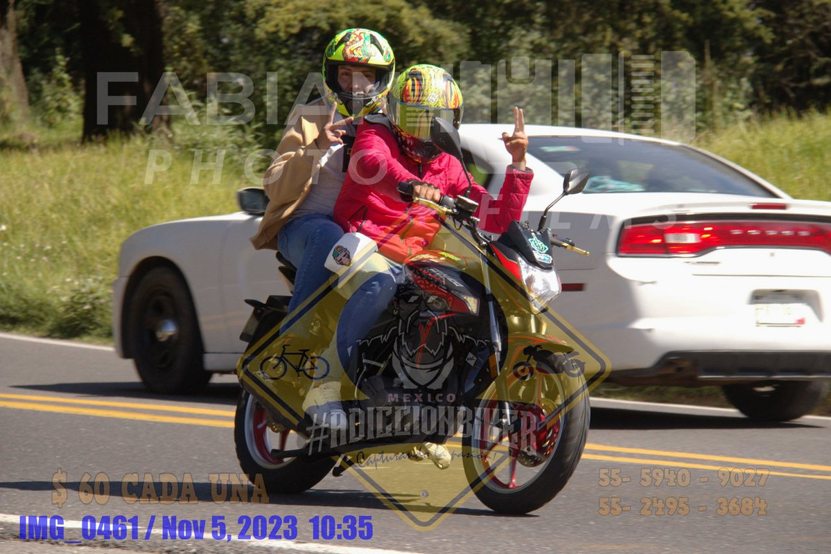 IMG 0461 — Postimages