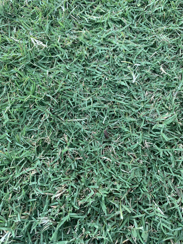 4F54521A-EA87-4F41-9E85-FADA47C2E3F2