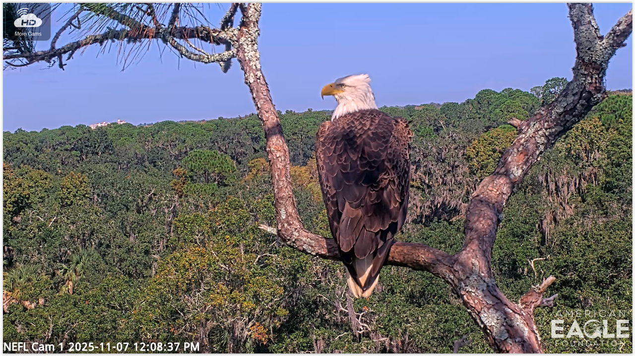 Screen Shot 11 07 25 at 06 09 PM