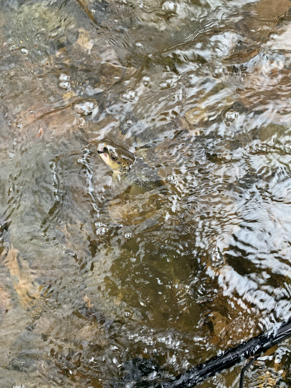 6223206B-F1A0-4669-AEC3-AA6657E6D852