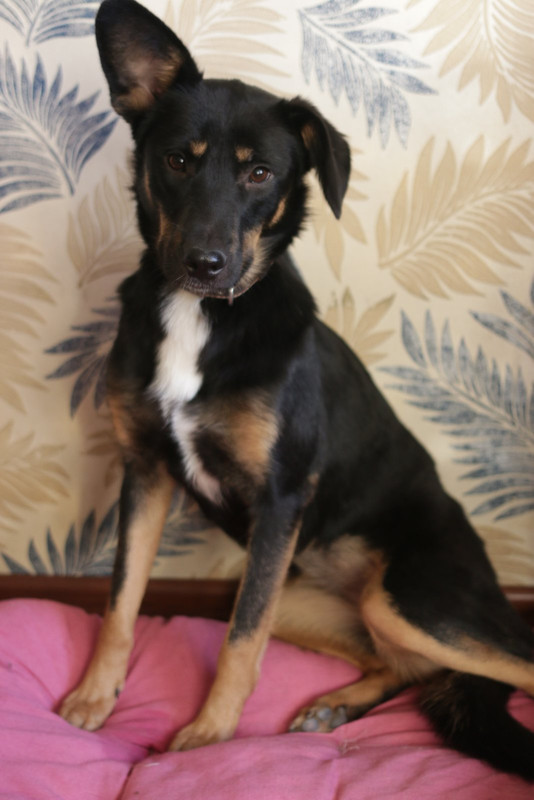 изображение_viber_2020-01-05_18-00-31