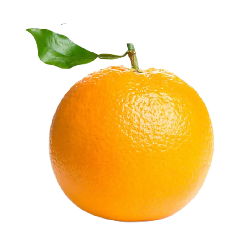 Fruits