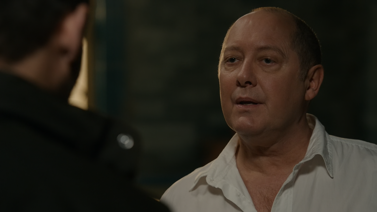 The.Blacklist.S10E08.The.Troll.Farmer.(2).1080p.10bit.AMZN.WEB-DL.DDP5.1.HEVC-Vyndros.mkv_snapshot_1