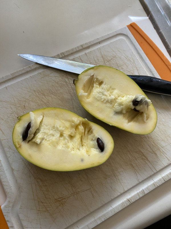 3502E7AF-492A-4E3C-808B-2D7EE291E6C0