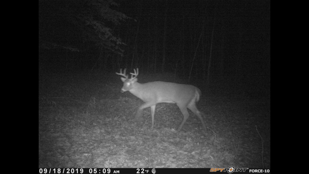 51C5A8F2-FA6B-480D-83E7-39EF8561B291