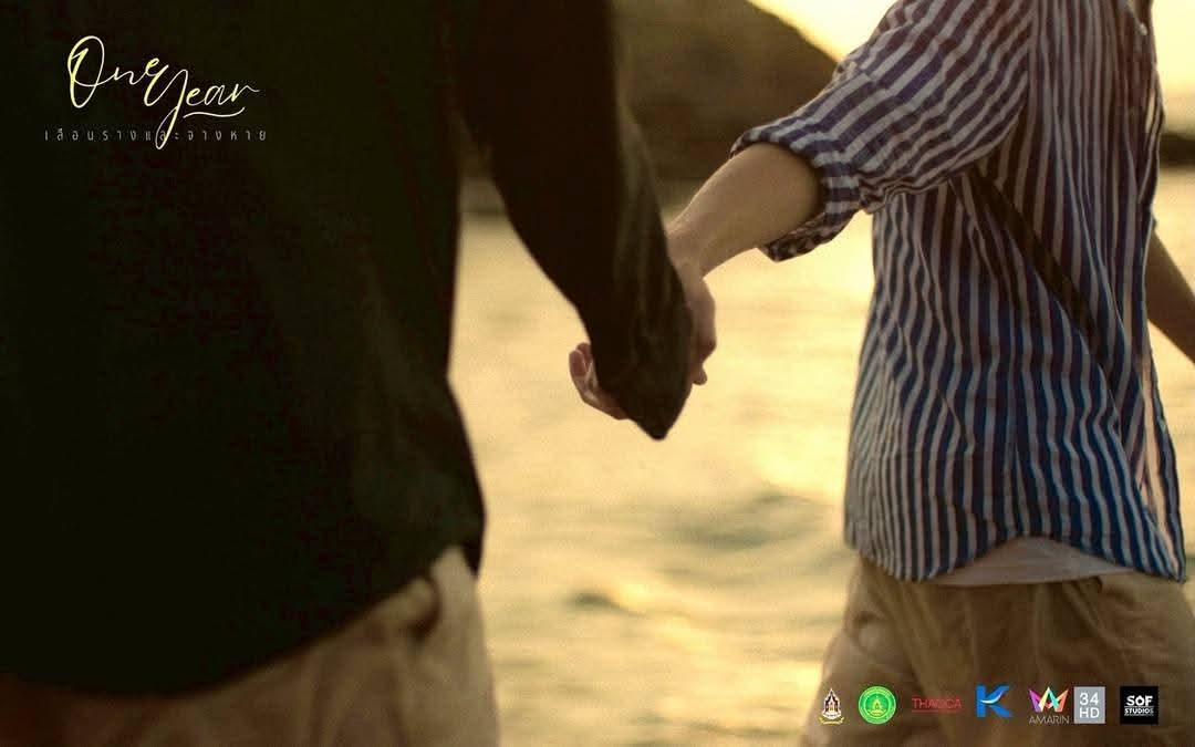 One-Year-The-Series-2