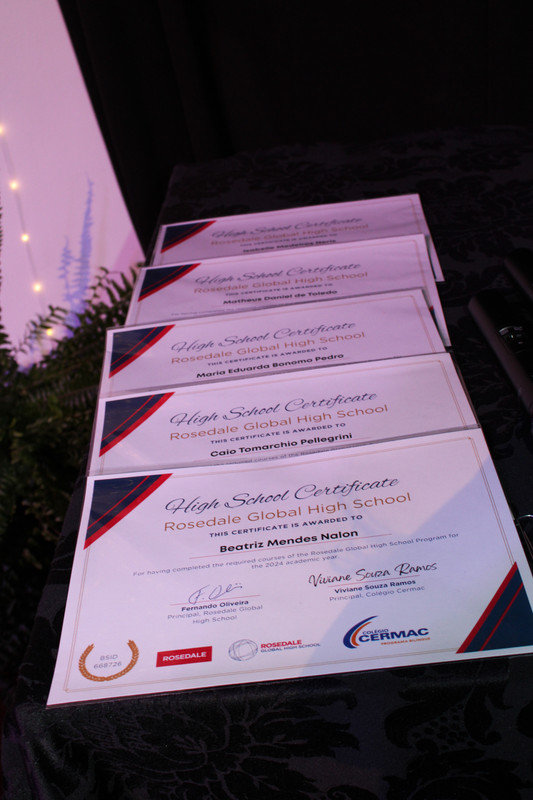 3° ano Ensino Médio (3)