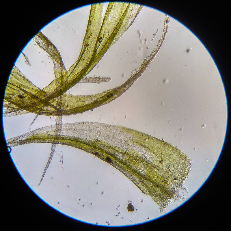 IMG 20250614 122636 HDR