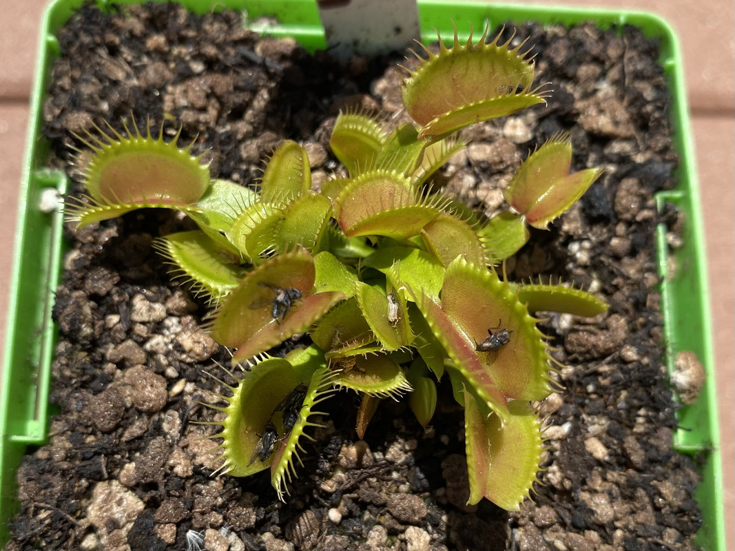 2BA5D233-0407-459F-9ABB-1EA5FF027898