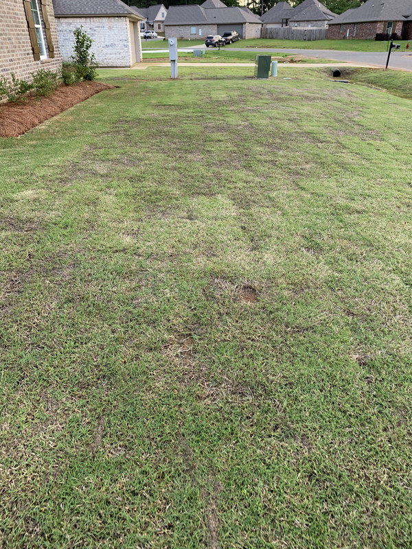 0566970B-41F4-4FFA-86D0-CB1AE9FFD467