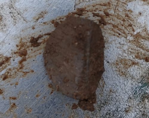 IMG 20251207 150813
