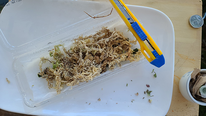 [Image: 20221204-144359.jpg]