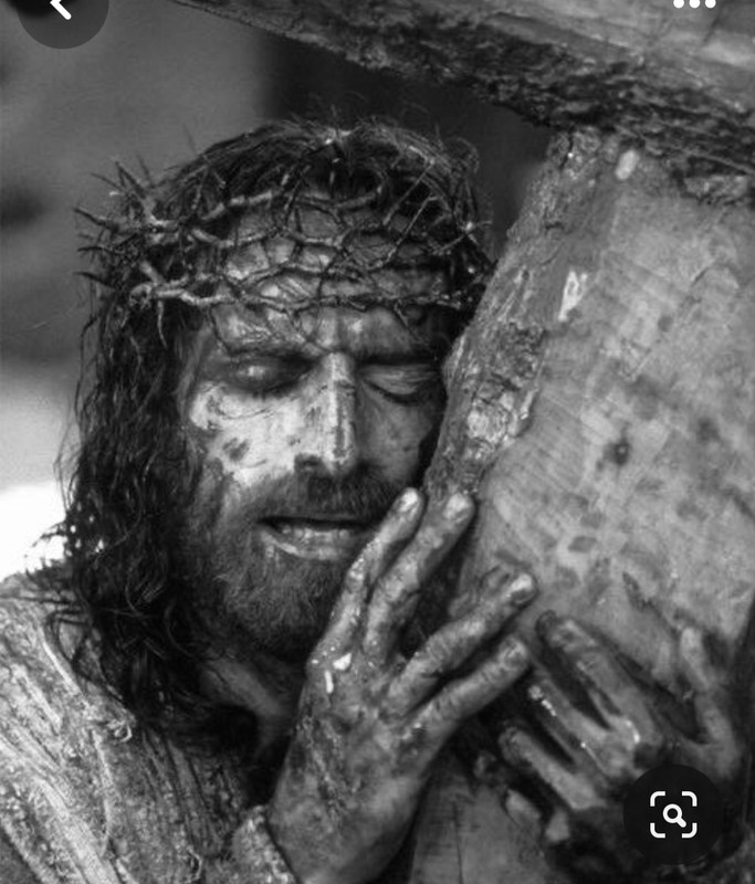 Screenshot_20240207_230456_Pinterest