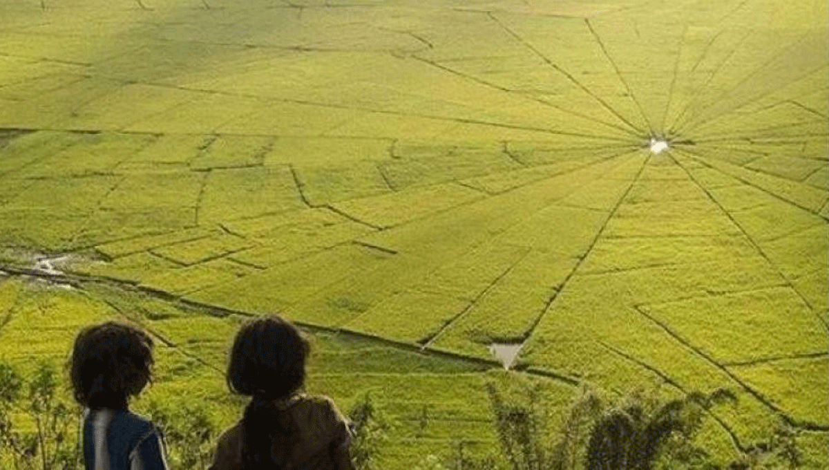 Sawah Lingko