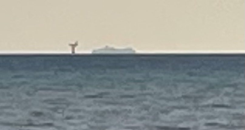 E2C8DFDD-5DB8-4753-A9EA-377E64E20D39