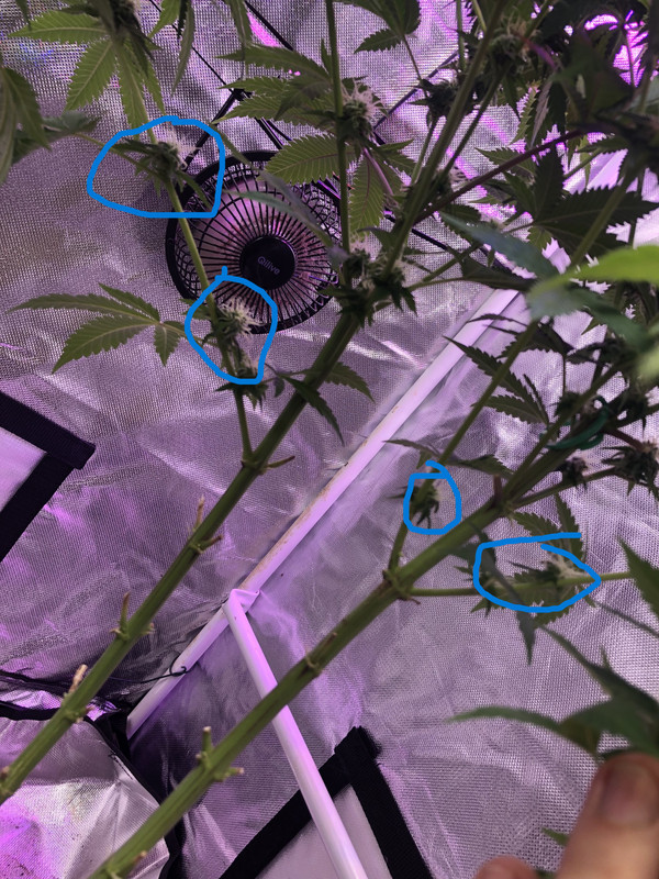 C711C3FC-07A1-4B56-881E-DD58494DAAB5