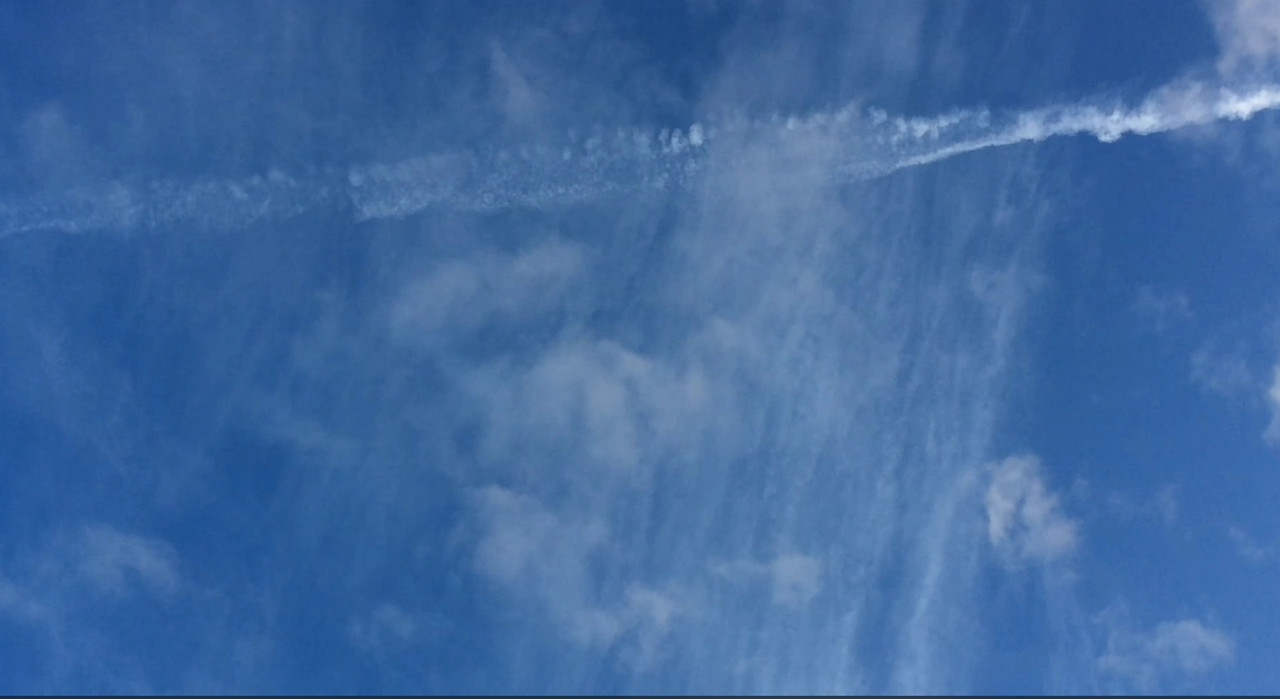 [Image: 3-E317-E9-B-E47-A-488-C-9568-A7-AE2-B21-F204.jpg]