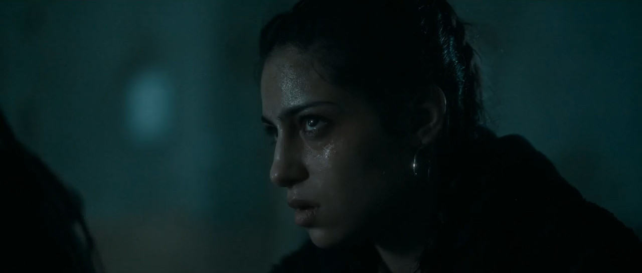 Infested 2023 WebRip [Hindi + Tamil + French] 480p, 720p ESub Screenshot