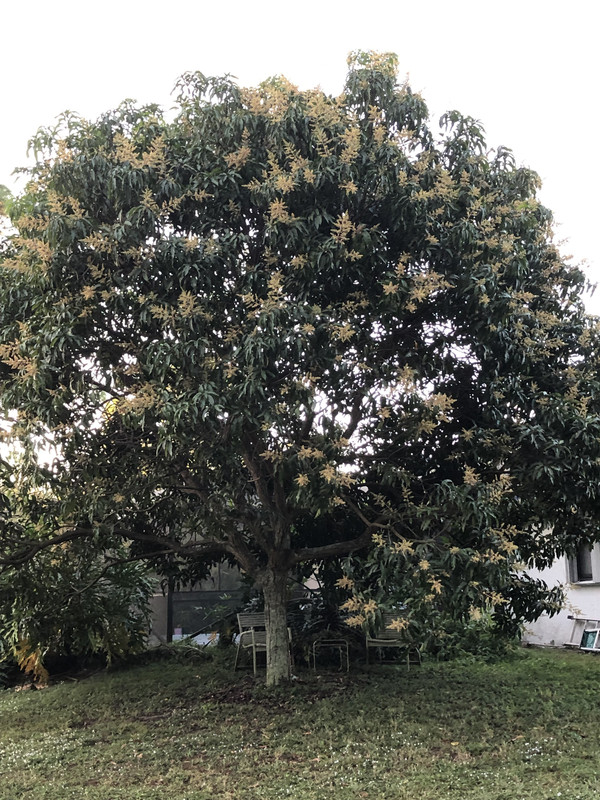 AA977F2E-A07A-4684-8B5F-A7E0B06B4E89