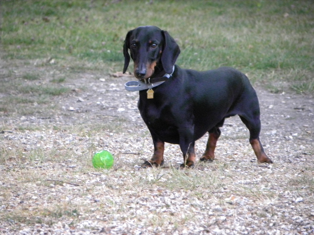 [Image: DSCN9483.jpg]