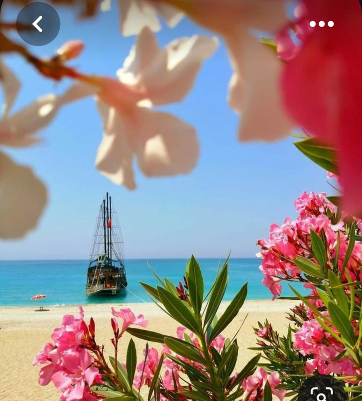 Screenshot_20230527_234249_Pinterest