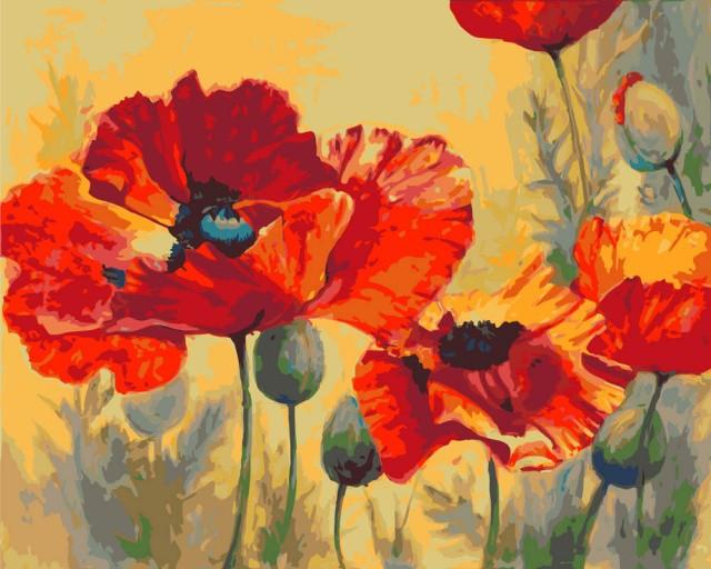 fbe53a9702d2808af77bdc8bf44f7228