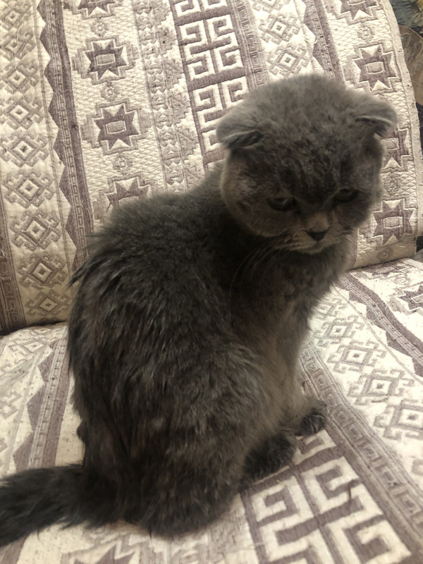 678629C1-F9C5-4AFC-97A6-2786C51DF80D