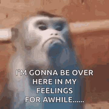 mad-monkey-mad.gif