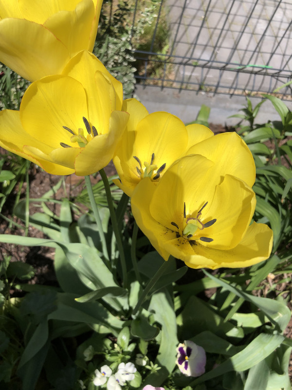 F21742D3-27C4-411A-A619-6EA8C07EA626