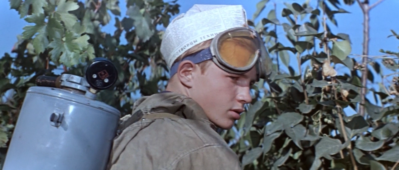 Акваланги001064